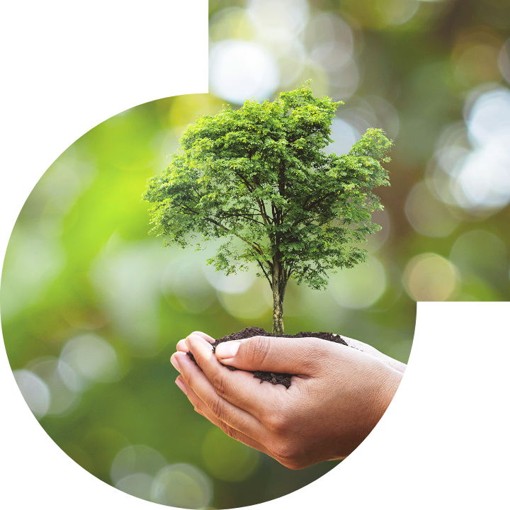 關懷人類、文化、環境與社會